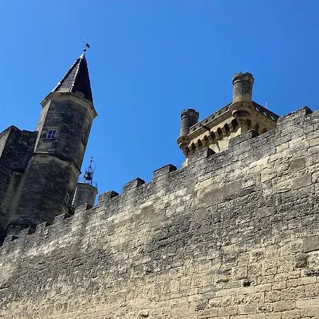 Au Pays De Gide Feutre Dans Un Chateau Apartmán *